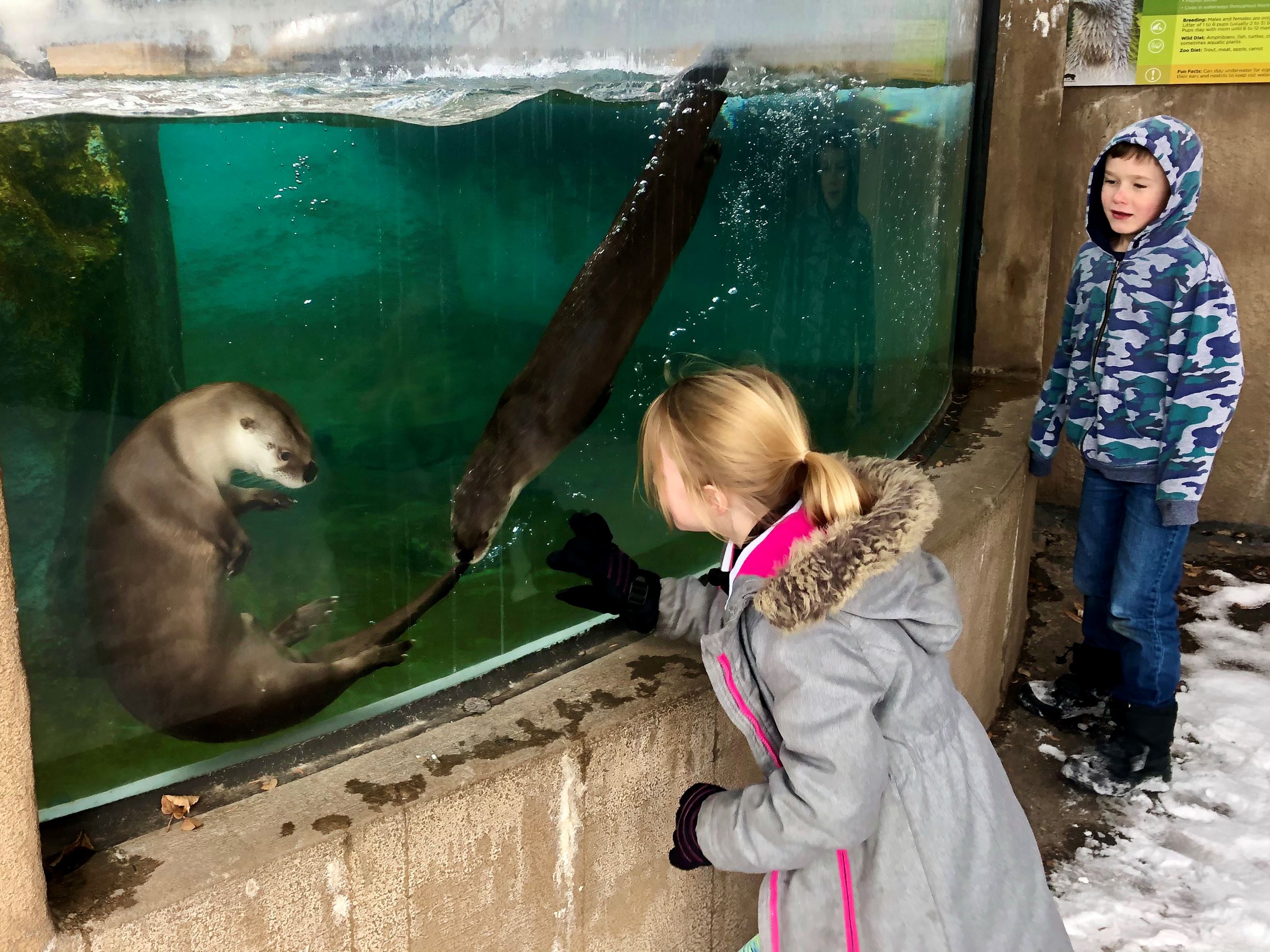 Winter Camp Otters(2) 2020