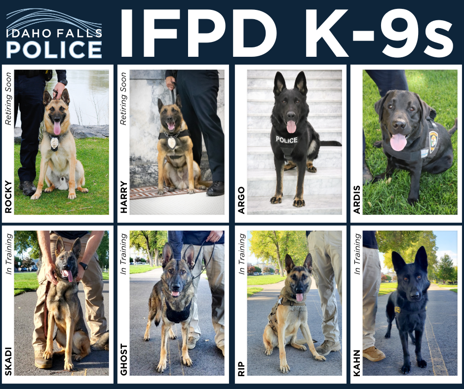 IFPD K-9s