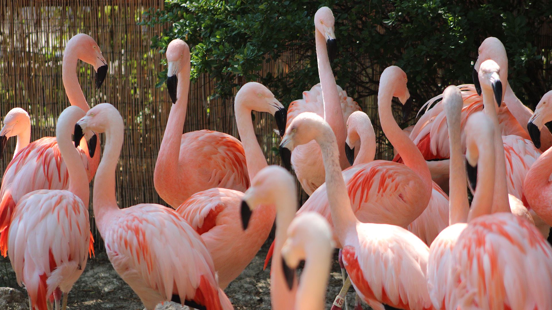 Zoo Press Relese photo March 2023