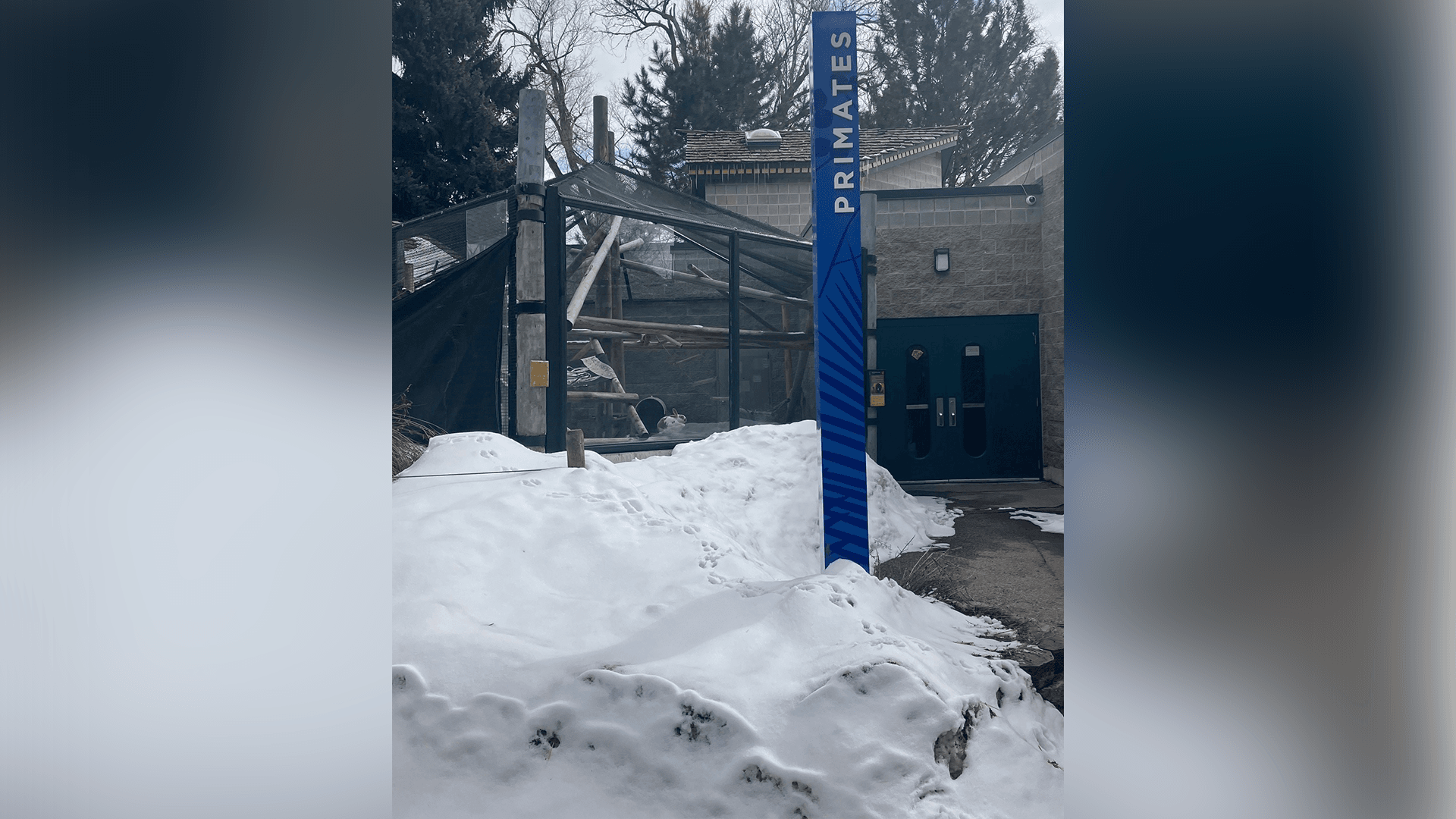 Zoo in the snow March 27 2023